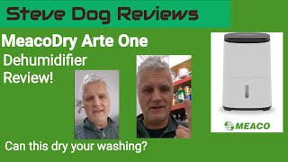 MeacoDry Arte One Dehumidifier Review Can it dry your laundry [upl. by Aihsyt]