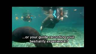 eeewswimming with manatees in crystal river florida [upl. by Romito]