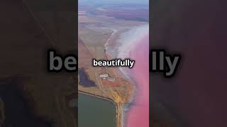 Lake Hillier Australia’s Stunning Pink Lake 🌸  Nature’s Hidden Gem [upl. by Enyrat30]