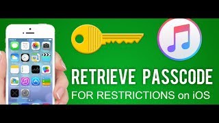 How To Recovery Restriction Passcode in ios device without any restore or deleting files [upl. by Chafee]