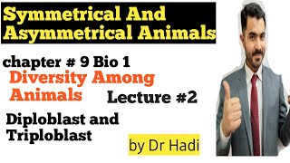 Symmetrical and Asymmetrical Animals Diploblast and Triploblastic Animals in Urdu Hindi By Dr Hadi [upl. by Sorac]