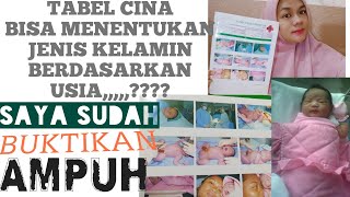 TABEL CINA MENENTUKAN JENIS KELAMIN DAN USIA  PROGRAM ANAK PEREMPUAN PART 1 [upl. by Jehias]