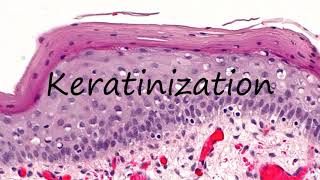 How to Pronounce Keratinization [upl. by Harbard]