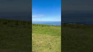 Dunstanburgh Castle shorts [upl. by Siuluj]