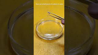 Reaction of Sodium Metal with Water science experiment [upl. by Aicelef]