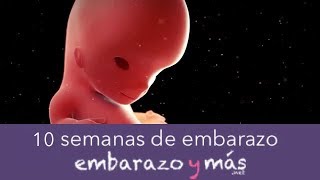 10 semanas de embarazo  Tercer mes  EMBARAZOYMAS [upl. by Chloras687]