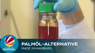 PalmölAlternative Wissenschaftler aus Harburg entwickeln quotgrüne Ölequot [upl. by Rainer969]