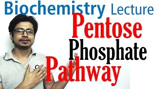 Pentose phosphate pathway [upl. by Casmey279]