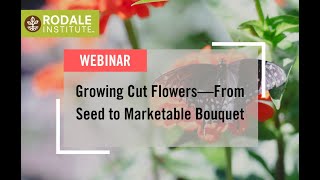 Webinar Growing Cut Flowers—From Seed to Marketable Bouquet [upl. by Hauck]