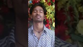 Yaaradi Nee Mohini Tamil Movie Songs  Palakattu Vertical Video  Dhanush  Nayanthara  Yuvan [upl. by Eerb]