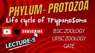 Life Cycle of Trypanosoma  Sleeping Sickness  Zoology  Parasitology  Notes in Description [upl. by Magel336]