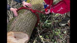 TREUIL FORESTIER MARY AGRI 4 TONNES AVEC RADIO [upl. by Marcellus364]