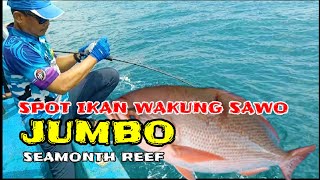 Mancing ikan wakung sawo jumbo [upl. by Cilka906]