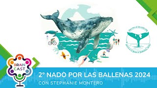 Braincast T2  EP 9  Nado por las ballenas [upl. by Bernardi]