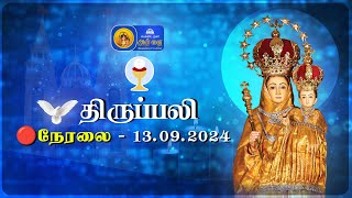 🔴 LIVE  Holy Mass in Tamil  13th September 2024  Annai Vailankanni Shrine  Besant Nagar Annai [upl. by Acirt]