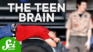 How Teenagers Brains Are Actually Wired Differently [upl. by Mayor812]