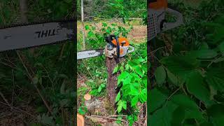 Dog days of summer expanding the food plot cabin food hunting atv chainsaw fun summer field [upl. by Oconnor]