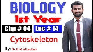 Cytoskeleton  Chapter 4  1st year Biology  Lec  14 [upl. by Bernita]