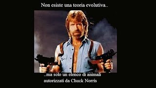 Le Migliori Frasi  Fatti e battute su Chuck Norris in Italiano [upl. by Regdor]