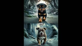 Rottweiler Puppy vs Pitbull puppy  German Shepherd Husky Doberman labrador retriever Pointer [upl. by Nwadal336]