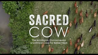 Sacred Cow Film  Official Version [upl. by Mcgurn]