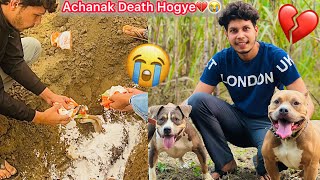 Ghumta Firta Achanak Death Hogye😭Unexpected💔RIP🙏🏻 [upl. by Zoha304]