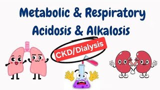 Acidosis Alkalosis Acid base balance in DialysisCkd patients metabolic acidosis [upl. by Viridissa52]