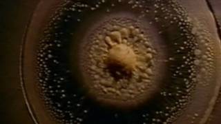 Cymatics Fractals and The Spirit Molecule HD [upl. by Tait]