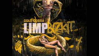 Limp Bizkit  Introbra Gold Cobra 2011 HDHQ [upl. by Emmaline]