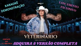 KARAOKÊ ANA CASTELA VITERINARO CONT 12 988170131 [upl. by Litnahs]