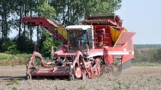 Grimme Tectron 415  aardappelen rooien [upl. by Glenda174]