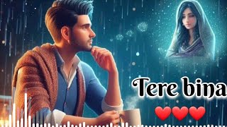 trending hindi song 2024 ❤️ tere bina ❤️ new romantic song 2024 love song latest hit songlove [upl. by Alliuqa]