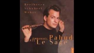 Schubert  Introduction et Varation Pahud Flute  Lesage Piano [upl. by Ecnerrot372]