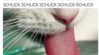 Schlick Schlick Schlick Schlick Schlick [upl. by Annaoy]