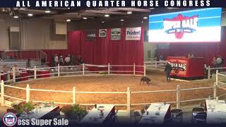 2024 Quarter Horse Congress Super Sale [upl. by Daegal]