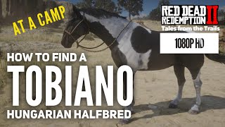 RDR2 How to get a Tobiano Hungarian Halfbred at a Camp Location  1080p HD Red Dead Redemption 2 [upl. by Xer277]