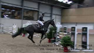 Glowee van de Molenberg Z VDL Glasgow vh Merelsnest x Cornet Obolensky mare °2019 BHT [upl. by Lakym]