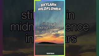 Skylark  Wildflower Lyrics  10hitbox shorts [upl. by Terrab]