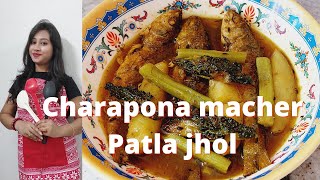 Charapona macher patla jhol ucche diye charapona macher recipe charapona fish curry bengali recipe [upl. by Acirred]