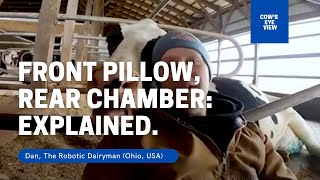 Why does the front pillow and rear chamber matter for cow comfort [upl. by Alleyn315]