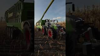 Ensilage maïs sur fs22 ls22 fs22 farmingsimulator farmlife gameplay [upl. by Yreneh]