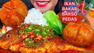 MAKAN IKAN BAKAR BAKSO PEDAS SPICY GRILLED FISH MEATBALL MASSIVE Eating Sounds [upl. by Wunder]