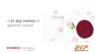 Glycated Serum Protein from EKF Diagnostics [upl. by Marduk]