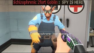 Schizophrenic 2fort Goblin [upl. by Fawnia547]