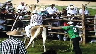 SANTO DOMINGO ARMENTA OAXACA TOREADASJARIPEOMONTADAS VIDEO DEL DR EVARISTO [upl. by Holly-Anne364]