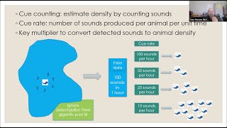 BioacousTalks Animal Density from Passive Acoustic Recordings with Tiago Marques [upl. by Ielhsa]