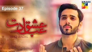 Ishq Ibadat  Episode 37   Wahaj Ali  Anum Fayyaz  Pakistani Dramas  HUM TV [upl. by Anairam]