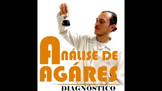 Microbiologia Análise de Ágares [upl. by Ahsotan435]