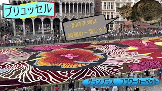 勝手にベルギー観光局：ブリュッセル Brussels グランプラス GrandPlace フラワーカーペット flower carpet [upl. by Amalbena808]