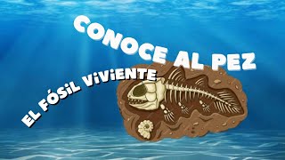 CONOCE AL PEZ PREHISTÓRICO ¿Qué es el Celacanto El fósil viviente 🐟  Persocon007 Planet [upl. by Ymaj]